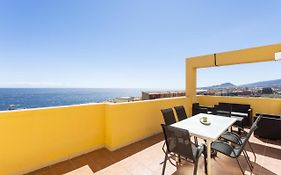 Live caletillas geranios drago